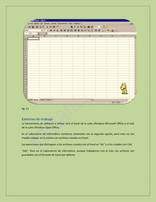 fig. 11

Entorno de trabajo
La herramienta de software a utilizar será el Excel de la suite ofimática Microsoft Office ó el Calc
de la suite ofimática Open Office.
En el Laboratorio de Informática contamos solamente con la segunda opción, pero esto no nos
impide trabajar en la misma con archivos creados en Excel.
Las exenciones que distinguen a los archivos creados con el Excel es “xls” y a los creados con Calc
“ods”. Pero en el Laboratorio de informática, aunque trabajemos con el Calc, los archivos son
guardados con el formato de Excel por defecto.

 