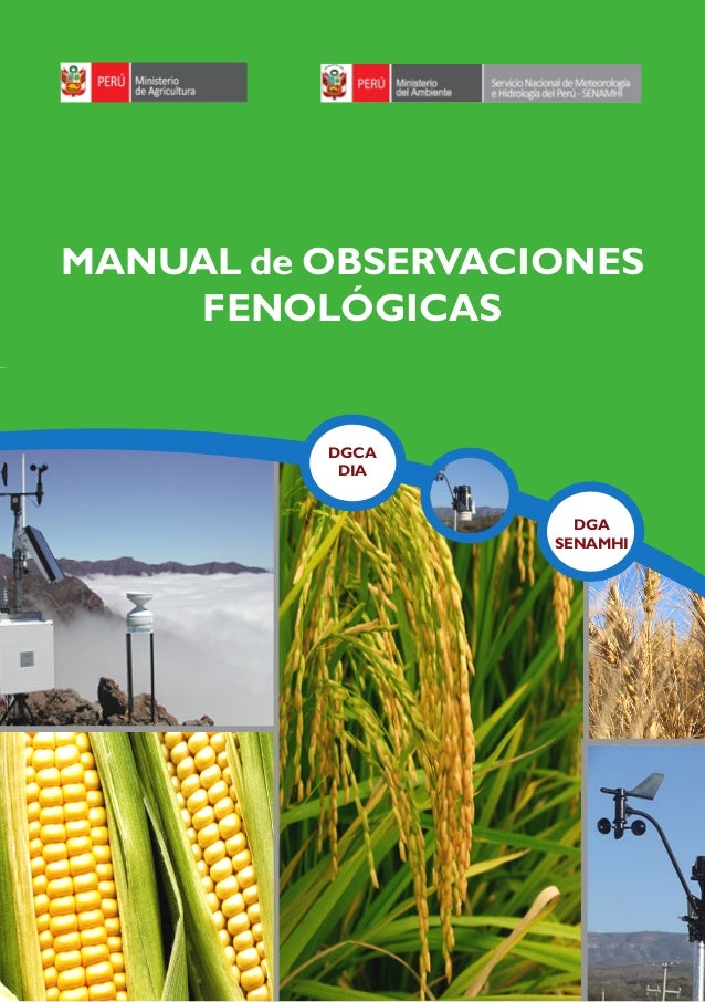 Manual de siembra de rocoto moderna Manual de siembra de rocoto moderna