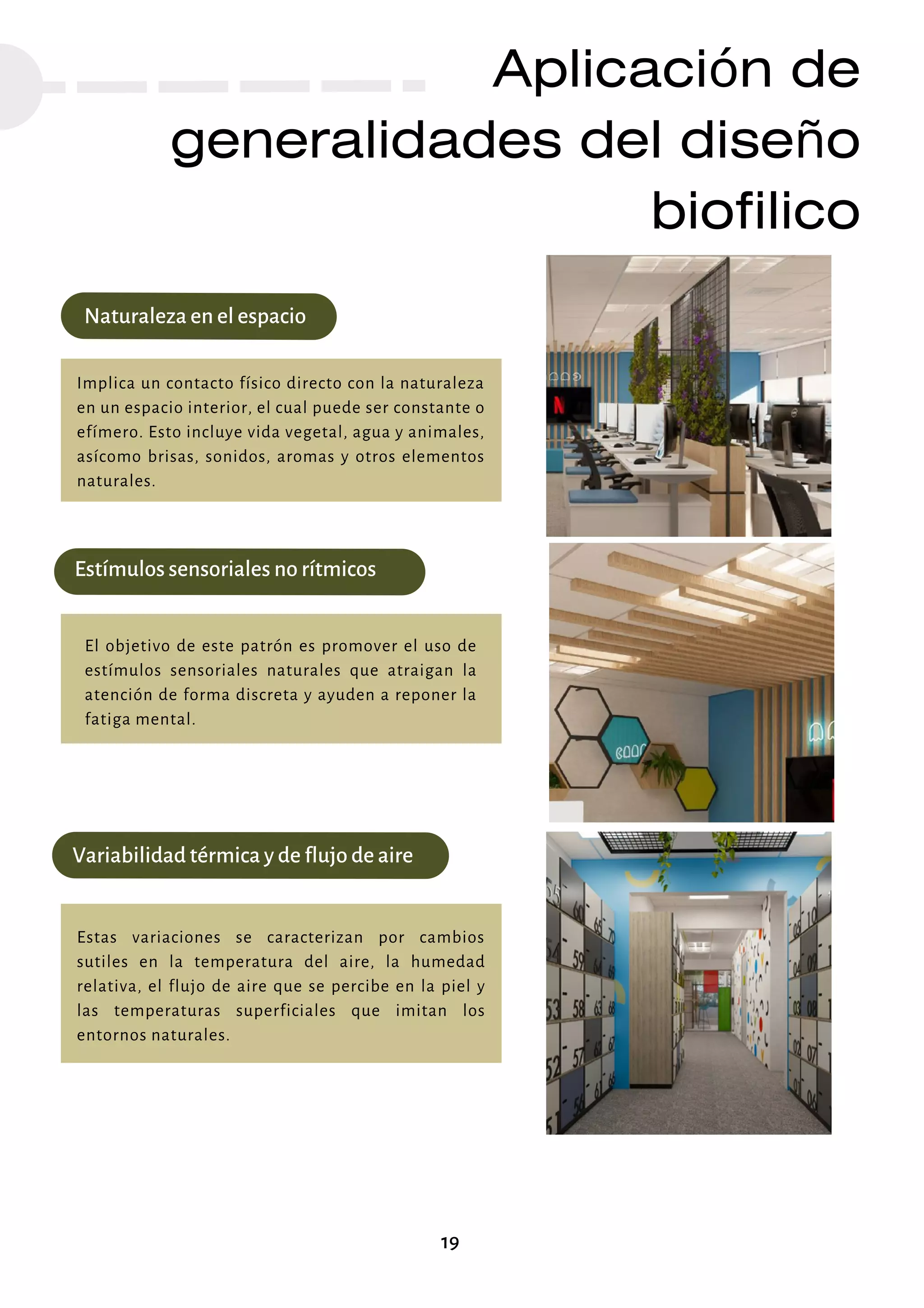 Aplicación de
generalidades del diseño
biofilico
Naturaleza en el espacio
19
Implica un contacto físico directo con la naturaleza
en un espacio interior, el cual puede ser constante o
efímero. Esto incluye vida vegetal, agua y animales,
asícomo brisas, sonidos, aromas y otros elementos
naturales.
Estímulos sensoriales no rítmicos
El objetivo de este patrón es promover el uso de
estímulos sensoriales naturales que atraigan la
atención de forma discreta y ayuden a reponer la
fatiga mental.
Variabilidad térmica y de flujo de aire
Estas variaciones se caracterizan por cambios
sutiles en la temperatura del aire, la humedad
relativa, el flujo de aire que se percibe en la piel y
las temperaturas superficiales que imitan los
entornos naturales.
 
