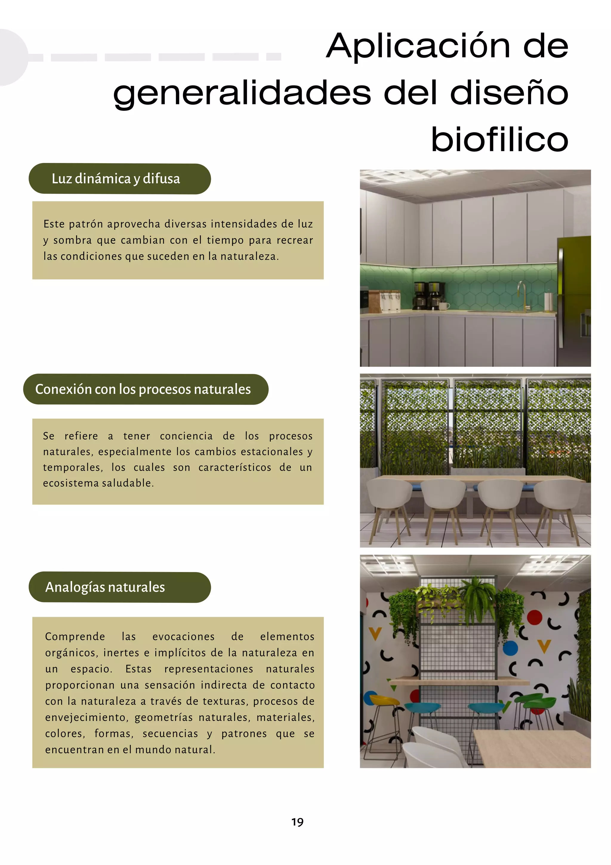Aplicación de
generalidades del diseño
biofilico
19
Luz dinámica y difusa
Este patrón aprovecha diversas intensidades de luz
y sombra que cambian con el tiempo para recrear
las condiciones que suceden en la naturaleza.
Conexión con los procesos naturales
Se refiere a tener conciencia de los procesos
naturales, especialmente los cambios estacionales y
temporales, los cuales son característicos de un
ecosistema saludable.
Analogías naturales
Comprende las evocaciones de elementos
orgánicos, inertes e implícitos de la naturaleza en
un espacio. Estas representaciones naturales
proporcionan una sensación indirecta de contacto
con la naturaleza a través de texturas, procesos de
envejecimiento, geometrías naturales, materiales,
colores, formas, secuencias y patrones que se
encuentran en el mundo natural.
 