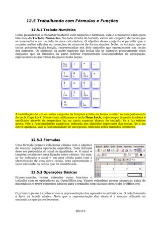 12.5 Trabalhando com Fórmulas e Funções

           12.5.1 Teclado Numérico
Como passaremos a trabalhar bastante com números e fórmulas, este é o momento exato para
falarmos do Teclado Numérico. No lado direito do teclado, existe um conjunto de teclas que
se assemelha a um teclado de uma calculadora. O objetivo desse conjunto é permitir que o
usuário realize cálculos ou inserções de números de forma simples. Note, no entanto, que as
teclas possuem dupla função, representadas nos dois símbolos que encontramos nas teclas
dos números. Os símbolos da parte superior das teclas são os números propriamente ditos
enquanto que os símbolos da parte inferior representam funcionalidades de navegação,
equivalentes às que vimos há pouco nesta seção.

                                 Num
                                 Lock
                                         /       *       -

                                  7      8       9       +
                                  Home          PgUp


                                 4       5       6       .
                                                


                                 1       2       3
                                 End            PgDn
                                                         Enter
                                  0              ,
                                  Ins            Del



A habilitação de um ou outro conjunto de funções é feita de forma similar ao comportamento
da tecla Caps Lock. Nesse caso, utilizamos a tecla Num Lock, cujo comportamento também é
verificado através da respectiva luz no canto superior direito do teclado. Se a luz estiver
acesa, vale a funcionalidade numérica, indicada nos símbolos superiores das teclas. Se a luz
estive apagada, vale a funcionalidade de navegação, indicada pelos símbolos inferiores.



           12.5.2 Fórmulas
Uma fórmula permite relacionar células com o objetivo
de realizar alguma operação específica. Toda fórmula
deve ser precedida do sinal de igualdade: =. O sinal =
também estabelece uma ligação entre células. Ou seja,
se for colocado o sinal = em uma célula junto com a
identificação de uma outra célula, será apresentado o
valor existente na célula que foi identificada.


           12.5.3 Operações Básicas
Primeiramente, vamos entender como funciona o
trabalho com os operadores no OpenOffice.org. Vamos relembrar nossas primeiras aulas de
matemática e rever conceitos básicos para o trabalho com cálculos dentro do BrOffice.org.


O primeiro passo é conhecermos a representação dos operadores aritméticos. O detalhamento
é feito na tabela abaixo. Note que a representação dos sinais é a mesma utilizada na
matemática que já conhecemos.



                                             80/119
 