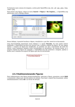 Os formatos mais comuns de imagens, aceitos pelo OpenOffice.org, são: .gif, .jpg, ,jpeg, .bmp,
.wmf e .png.
Para inserir uma figura, clique no menu Inserir > Figura > Do Arquivo..., o OpenOffice.org
abrirá para você o diálogo abaixo:




Nesse diálogo, é possível localizar a figura, visualizá-la e, por fim, inseri-la no documento.
Uma funcionalidade importante nesse diálogo é a opção Vincular. Se essa opção estiver
habilitada, o OpenOffice.org fará um vínculo com o arquivo original da figura. Se, por algum
motivo, o arquivo da figura for modificado, na próxima vez que o documento de texto for
aberto, essas mudanças também serão incorporadas ao documento. Da mesma forma, se o
arquivo original da figura for apagado, o OpenOffice.org não mostrará a imagem, apenas a
borda com o caminho do arquivo da figura que não foi encontrado:




        13.3 Redimensionando Figuras
Para redimensionar uma figura proporcionalmente, selecione a figura, pressione a tecla Shift
e movimente a figura por um dos pontos de seleção. Para fazer o ajuste fino da posição, utilize
simultaneamente a tecla Alt e as teclas de direção.




                                             93/119
 