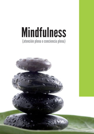 Mindfulness
(atención plena o conciencia plena)
 