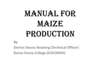 MANUAL FOR
        MAIZE
      PRODUCTION
By
Dennis Owusu Boateng (Technical Officer)
Bunso Cocoa College (COCOBOD)
 