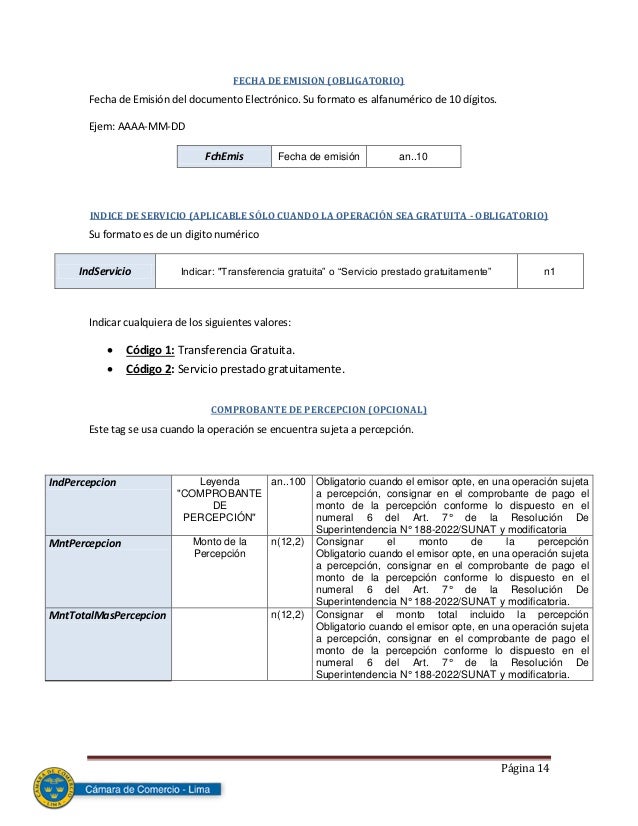 manual formato para facturacion