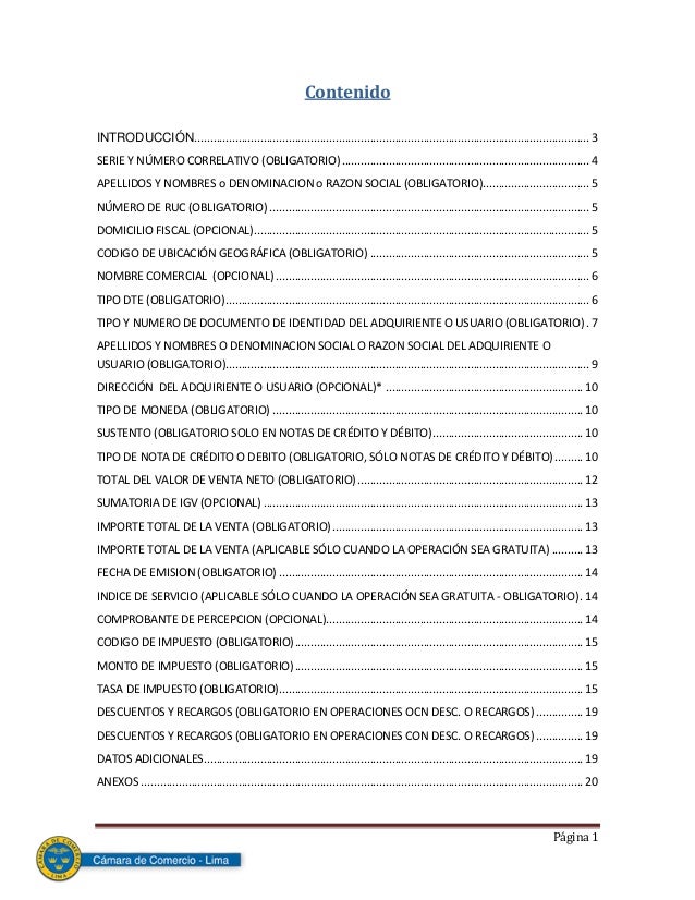 manual formato para facturacion electronica