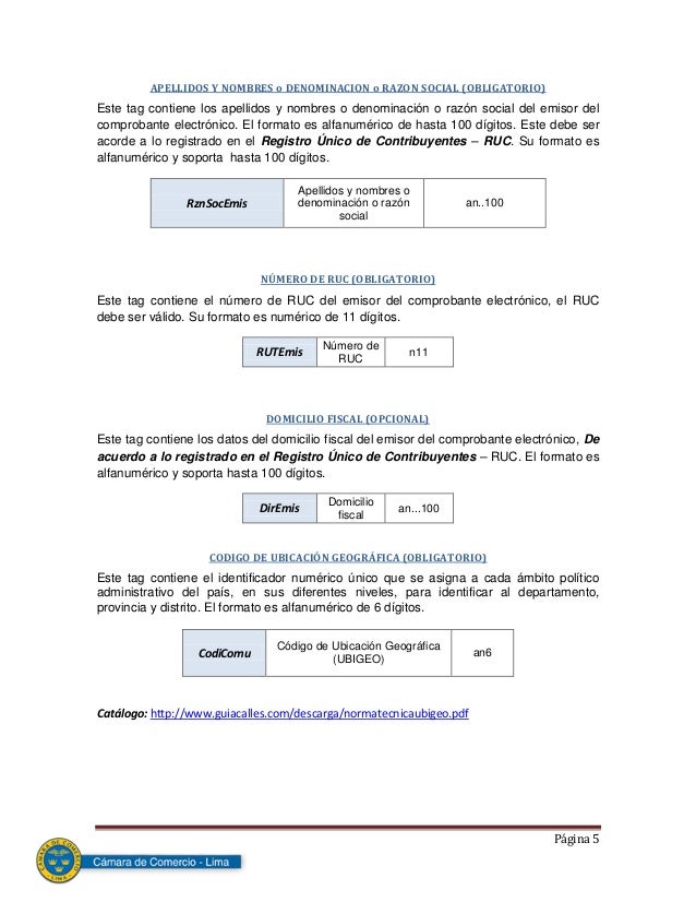 manual formato para facturacion