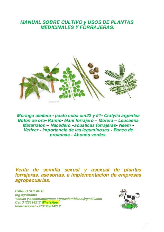 Moringa Oleifera Y Otras Forrageras Tropicales Manual