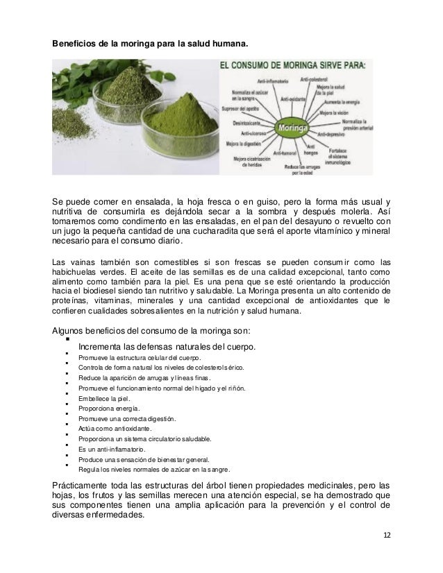 Moringa Oleifera Y Otras Forrageras Tropicales Manual