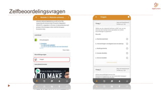 Zelfbeoordelingsvragen
 