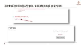Zelfbeoordelingsvragen / beoordelingspogingen
 