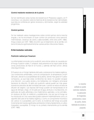 Control mediante resistencia de la planta




                                                                                                      Manejo fitosanitario
Se han identificado varias fuentes de resistencia en Phaseolus vulgaris y en P.
coccineus. Los estudios sobre la herencia de la resistencia han demostrado
que ésta es conferida por genes recesivos y dominantes, según la variedad
progenitora.


Control químico


Se han realizado varias investigaciones sobre control químico de la mancha
angular, y se ha encontrado un buen control con productos como benomil,
metil tiofanato, oxicloruro de cobre y caldo bordelés, entre otros (CIAT, 1980).
Anaya (citado por CIAT, 1980) encontró que el tratamiento de la semilla con
benomil reducía significativamente las subsecuentes infecciones foliares.


Enfermedades radicales


Pudrición radical por Fusarium


La enfermedad conocida como pudrición seca de las raíces es causada por
el hongo Fusarium solani, F. phaseoli, está presente en la mayor parte de las
zonas productoras de fríjol en el mundo y, además del fríjol común, afecta
otras leguminosas.

El Fusarium es un hongo habitante del suelo y sobrevive en la materia orgánica.
Las condiciones ambientales, como la compactación, la temperatura y el pH
del suelo, afectan la susceptibilidad de la planta, siendo más grave en suelos
compactos, ya que bajo estas condiciones las raíces no pueden escapar
a la infección. Los suelos ácidos y los fertilizantes con nitrógeno amoniacal
favorecen la infección. El daño por pudrición radical puede ser más grave                      La mancha
durante los periodos de alta humedad del suelo, cuando se reduce la tasa de
difusión de oxígeno. Las esporas del hongo pueden ser transportadas en el              anillada se puede
agua de drenaje y riego, en el suelo por el agua de lluvia o inundaciones, en        controlar mediante
partículas de suelo adheridas a los implementos agrícolas y a los animales,
                                                                                             la aplicación
en residuos de fríjol, en estiércol y, posiblemente, una vez que el hongo se
ha introducido en una nueva área puede sobrevivir indefinidamente como un                   de fungicidas
saprófito del suelo en la materia orgánica, o como un componente micorrízico        protectantes a base
de cultivos no susceptibles; por lo tanto, la incidencia del hongo se puede
incrementar de manera significativa sembrando ininterrumpidamente un cultivo
                                                                                        de azufre, fentín
hospedero susceptible. El hongo no es portado internamente por la semilla          hidróxido de estaño o
(CIAT, 1980).                                                                                    propineb.
                                                                                                   101
 