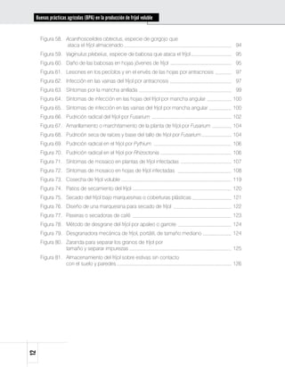 Buenas prácticas agrícolas (BPA) en la producción de fríjol voluble


     Figura 58. 	 Acanthoscelides obtectus, especie de gorgojo que		
                  ataca el fríjol almacenado	                       94
     Figura 59. 	 Vaginulus plebeius, especie de babosa que ataca el fríjol	              95
     Figura 60. 	 Daño de las babosas en hojas jóvenes de fríjol	                         95
     Figura 61. 	 Lesiones en los pecíolos y en el envés de las hojas por antracnosis	    97
     Figura 62. 	 Infección en las vainas del fríjol por antracnosis	                     97
     Figura 63. 	 Síntomas por la mancha anillada	                                        99
     Figura 64. 	 Síntomas de infección en las hojas del fríjol por mancha angular	      100
     Figura 65. 	 Síntomas de infección en las vainas del fríjol por mancha angular	     100
     Figura 66. 	 Pudrición radical del fríjol por Fusarium	                             102
     Figura 67. 	 Amarillamiento o marchitamiento de la planta de fríjol por Fusarium	   104
     Figura 68. 	 Pudrición seca de raíces y base del tallo de fríjol por Fusarium	      104
     Figura 69. 	 Pudrición radical en el fríjol por Pythium	                            106
     Figura 70. 	 Pudrición radical en el fríjol por Rhizoctonia	                        106
     Figura 71. 	 Síntomas de mosaico en plantas de fríjol infectadas	                   107
     Figura 72. 	 Síntomas de mosaico en hojas de fríjol infectadas	                     108
     Figura 73. 	 Cosecha de fríjol voluble	                                             119
     Figura 74. 	 Patios de secamiento del fríjol	                                       120
     Figura 75. 	 Secado del fríjol bajo marquesinas o coberturas plásticas	             121
     Figura 76. 	 Diseño de una marquesina para secado de fríjol	                        122
     Figura 77. 	 Paseras o secadoras de café	                                           123
     Figura 78. 	 Método de desgrane del fríjol por apaleo o garrote	                    124
     Figura 79. 	 Desgranadora mecánica de fríjol, portátil, de tamaño mediano	          124
     Figura 80. 	 Zaranda para separar los granos de fríjol por 		
                  tamaño y separar impurezas	                     125
     Figura 81. 	 Almacenamiento del fríjol sobre estivas sin contacto 		
                  con el suelo y paredes	                                126
12
 