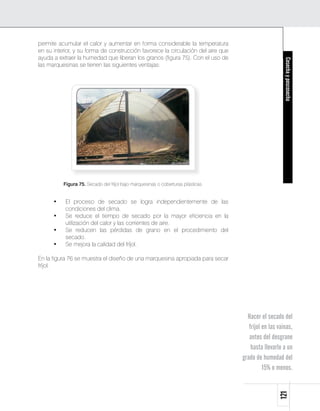 permite acumular el calor y aumentar en forma considerable la temperatura
en su interior, y su forma de construcción favorece la circulación del aire que
ayuda a extraer la humedad que liberan los granos (figura 75). Con el uso de




                                                                                                      Cosecha y poscosecha
las marquesinas se tienen las siguientes ventajas:




          Figura 75. Secado del fríjol bajo marquesinas o coberturas plásticas.


      •    El proceso de secado se logra independientemente de las
           condiciones del clima.
      •    Se reduce el tiempo de secado por la mayor eficiencia en la
           utilización del calor y las corrientes de aire.
      •    Se reducen las pérdidas de grano en el procedimiento del
           secado.
      •    Se mejora la calidad del fríjol.

En la figura 76 se muestra el diseño de una marquesina apropiada para secar
fríjol.




                                                                                    Hacer el secado del
                                                                                     fríjol en las vainas,
                                                                                     antes del desgrane
                                                                                      hasta llevarlo a un
                                                                                  grado de humedad del
                                                                                            15% o menos.
                                                                                                   121
 