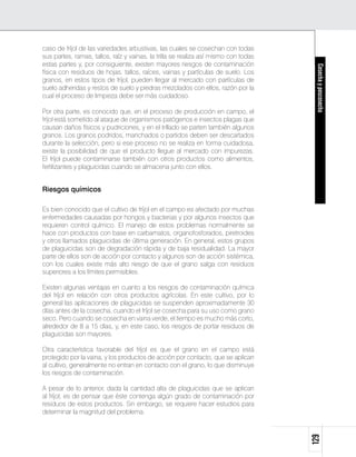 caso de fríjol de las variedades arbustivas, las cuales se cosechan con todas
sus partes, ramas, tallos, raíz y vainas, la trilla se realiza así mismo con todas
estas partes y, por consiguiente, existen mayores riesgos de contaminación




                                                                                      Cosecha y poscosecha
física con residuos de hojas, tallos, raíces, vainas y partículas de suelo. Los
granos, en estos tipos de fríjol, pueden llegar al mercado con partículas de
suelo adheridas y restos de suelo y piedras mezclados con ellos, razón por la
cual el proceso de limpieza debe ser más cuidadoso.

Por otra parte, es conocido que, en el proceso de producción en campo, el
fríjol está sometido al ataque de organismos patógenos e insectos plagas que
causan daños físicos y pudriciones, y en el trillado se parten también algunos
granos. Los granos podridos, manchados o partidos deben ser descartados
durante la selección, pero si ese proceso no se realiza en forma cuidadosa,
existe la posibilidad de que el producto llegue al mercado con impurezas.
El fríjol puede contaminarse también con otros productos como alimentos,
fertilizantes y plaguicidas cuando se almacena junto con ellos.


Riesgos químicos

Es bien conocido que el cultivo de fríjol en el campo es afectado por muchas
enfermedades causadas por hongos y bacterias y por algunos insectos que
requieren control químico. El manejo de estos problemas normalmente se
hace con productos con base en carbamatos, organofosforados, piretroides
y otros llamados plaguicidas de última generación. En general, estos grupos
de plaguicidas son de degradación rápida y de baja residualidad. La mayor
parte de ellos son de acción por contacto y algunos son de acción sistémica,
con los cuales existe más alto riesgo de que el grano salga con residuos
superiores a los límites permisibles.

Existen algunas ventajas en cuanto a los riesgos de contaminación química
del fríjol en relación con otros productos agrícolas. En este cultivo, por lo
general las aplicaciones de plaguicidas se suspenden aproximadamente 30
días antes de la cosecha, cuando el fríjol se cosecha para su uso como grano
seco. Pero cuando se cosecha en vaina verde, el tiempo es mucho más corto,
alrededor de 8 a 15 días, y, en este caso, los riesgos de portar residuos de
plaguicidas son mayores.

Otra característica favorable del fríjol es que el grano en el campo está
protegido por la vaina, y los productos de acción por contacto, que se aplican
al cultivo, generalmente no entran en contacto con el grano, lo que disminuye
los riesgos de contaminación.

A pesar de lo anterior, dada la cantidad alta de plaguicidas que se aplican
al fríjol, es de pensar que éste contenga algún grado de contaminación por
residuos de estos productos. Sin embargo, se requiere hacer estudios para
determinar la magnitud del problema.
                                                                                     129
 