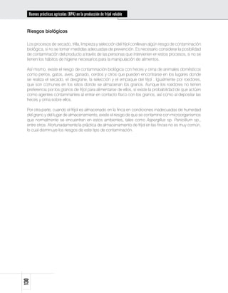 Buenas prácticas agrícolas (BPA) en la producción de fríjol voluble


 Riesgos biológicos

 Los procesos de secado, trilla, limpieza y selección del fríjol conllevan algún riesgo de contaminación
 biológica, si no se toman medidas adecuadas de prevención. Es necesario considerar la posibilidad
 de contaminación del producto a través de las personas que intervienen en estos procesos, si no se
 tienen los hábitos de higiene necesarios para la manipulación de alimentos.

 Así mismo, existe el riesgo de contaminación biológica con heces y orina de animales domésticos
 como perros, gatos, aves, ganado, cerdos y otros que pueden encontrarse en los lugares donde
 se realiza el secado, el desgrane, la selección y el empaque del fríjol . Igualmente por roedores,
 que son comunes en los sitios donde se almacenan los granos. Aunque los roedores no tienen
 preferencia por los granos de fríjol para alimentarse de ellos, sí existe la probabilidad de que actúen
 como agentes contaminantes al entrar en contacto físico con los granos, así como al depositar las
 heces y orina sobre ellos.

 Por otra parte, cuando el fríjol es almacenado en la finca en condiciones inadecuadas de humedad
 del grano y del lugar de almacenamiento, existe el riesgo de que se contamine con microorganismos
 que normalmente se encuentran en estos ambientes, tales como Aspergillus sp. Penicillium sp.,
 entre otros. Afortunadamente la práctica de almacenamiento de fríjol en las fincas no es muy común,
 lo cual disminuye los riesgos de este tipo de contaminación.
130
 