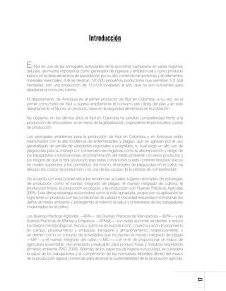 Introducción


El fríjol es una de las principales actividades de la economía campesina en varias regiones
del país, de mucha importancia como generador de ingresos y empleo rural y como producto
básico en la dieta alimenticia de la población por su alto contenido de proteínas y de elementos
minerales esenciales. A él se dedican 120.000 pequeños productores que siembran 101.559
hectáreas, con una producción de 110.579 toneladas al año, que no son suficientes para
abastecer el consumo interno.

El departamento de Antioquia es el primer productor de fríjol en Colombia, a su vez, es el
primer consumidor de fríjol, y supera ampliamente el consumo per cápita del país y en este
departamento el fríjol es un producto clave en la seguridad alimentaria de la población.

No obstante, en los últimos años el fríjol en Colombia ha perdido competitividad frente a la
producción de otros países, en el marco de la globalización, especialmente por los altos costos
de producción.

Los principales problemas para la producción de fríjol en Colombia y en Antioquia están
relacionados con la alta incidencia de enfermedades y plagas, que se agravan por el uso
generalizado de semilla de variedades regionales susceptibles, lo cual exige un alto uso de
plaguicidas para su manejo con consecuencias negativas como la alta exposición y riesgo de
los trabajadores a intoxicaciones, la contaminación del medio ambiente con estos productos y
los riesgos de que el fríjol producido bajo estas condiciones pueda contener residuos tóxicos
en niveles superiores a los permitidos. Así mismo, el empleo de plaguicidas en el cultivo ha
elevado los costos de producción y es una de las causas de la pérdida de competitividad.

De acuerdo con esta problemática las tendencias actuales sugieren el empleo de estrategias
de producción como el manejo integrado de plagas, el manejo integrado de cultivos, la
producción limpia, la producción ecológica, y la producción con Buenas Prácticas Agrícolas
(BPA). Esta última estrategia se considera como la más apropiada, ya que con su aplicación se
logra tener un producto con las condiciones de calidad e inocuidad requeridas minimizando los
daños al medio ambiente y protegiendo al máximo la salud y el bienestar de los trabajadores
involucrados en el cultivo.

Las Buenas Prácticas Agrícolas —BPA—, las Buenas Prácticas de Manufactura —BPM— y las
Buenas Prácticas de Manejo y Empaque —BPMyE— son todas acciones tendientes a reducir
los riesgos microbiológicos, físicos y químicos en la producción, cosecha y acondicionamiento
en campo; procesamiento y empaque, transporte y almacenamiento, respectivamente, y
se definen como un conjunto de actividades que incorporan el manejo integrado de plagas
—MIP— y el manejo integrado del cultivo —MIC—, con el fin de proporcionar un marco de
agricultura sustentable, documentado y evaluable, para producir frutas y hortalizas respetando
el medio ambiente (FAO, 2004). Además de los aspectos de higiene e inocuidad, se considera
la salud de los trabajadores y el cumplimiento de las normativas laborales dentro del marco
de la producción agraria comercial, para alcanzar la sustentabilidad de la producción agrícola.
                                                                                                   17
 