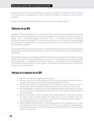 Buenas prácticas agrícolas (BPA) en la producción de fríjol voluble


 Dada la importancia que tienen las BPA en el comercio mundial, en el cuidado del medio ambiente
 y el bienestar de los trabajadores, la FAO ha decidido difundirlas, y capacitar y colaborar en su
 adopción.

 Buenas Prácticas Agrícolas significa “hacer las cosas bien y dar garantía de ello”.



 Definición de las BPA
 Las Buenas Prácticas Agrícolas son un conjunto de normas, principios y recomendaciones técnicas
 aplicadas a las diversas etapas de la producción agrícola, que incorporan el Manejo Integrado de
 Plagas —MIP— y el Manejo Integrado del Cultivo —MIC—, cuyo objetivo es ofrecer un producto
 de elevada calidad e inocuidad con un mínimo impacto ambiental, con bienestar y seguridad para
 el consumidor y los trabajadores y que permita proporcionar un marco de agricultura sustentable,
 documentado y evaluable.

 En general, las BPA se basan en tres principios: la obtención de productos sanos que no representen
 riesgos para la salud de los consumidores, la protección del medio ambiente y el bienestar de los
 agricultores.

 Para la implementación de un programa de BPA es importante el conocimiento previo de las acciones
 o líneas que rigen este sistema de calidad, como son: el medio ambiente, la sanidad e inocuidad
 de los productos, su trazabilidad por medio de registros, y la seguridad para los trabajadores y
 consumidores. Deben tenerse en cuenta, además, otros temas como el agua, el suelo, el empaque,
 el transporte y la manipulación.



 Ventajas de la adopción de las BPA
          •	 Mejorar las condiciones higiénicas del producto.
          •	 Prevenir y minimizar el rechazo del producto en el mercado debido a residuos tóxicos o
             características inadecuadas en sabor o aspecto para el consumidor.
          •	 Minimizar las fuentes de contaminación de los productos, en la medida en que se
             implementen normas de higiene durante la producción y recolección de la cosecha.
          •	 Abre posibilidades de exportar a mercados exigentes (mejores oportunidades y precios).
             En el futuro próximo, probablemente se transforme en una exigencia para acceder a
             dichos mercados.
          •	 Obtención de nueva y mejor información de su propio negocio, merced a los sistemas
             de registros que se deben implementar (certificación) y que se pueden cruzar con
             información económica. De esta forma, el productor comprende mejor su negocio, lo
             cual lo habilita para tomar mejores decisiones.
          •	 Mejora la gestión (administración y control de personal, insumos, instalaciones, etc.) de la
             finca (empresa) en términos productivos y económicos, y aumentar la competitividad de
             la empresa por reducción de costos (menores pérdidas de insumos, horas de trabajo,
             tiempos muertos, etc.).
20
 