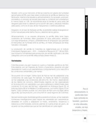 Secado: como ya se mencionó, el fríjol se cosecha con grados de humedad
aproximados al 20%, pero bajo estas condiciones la semilla se deteriora muy
fácilmente, máxime si se requiere su almacenamiento. Es necesario, entonces,




                                                                                                        Manejo agronómico
someterla a un proceso de secado para bajar su contenido de humedad por
lo menos hasta un 13%. Se recomienda secar la semilla en vaina antes del
desgrane para evitar su deterioro por la acción del calor y utilizando métodos
adecuados, como es el caso de las marquesinas o coberturas plásticas.

Desgrane: en el caso de fríjol para semilla, es preferible realizar el desgrane en
forma manual para evitar daños físicos y deterioro de los granos.

Almacenamiento: si se requiere almacenar, la semilla debe tener bajos
contenidos de humedad, debe guardarse en sitios adecuados, aireados,
con baja temperatura y limpios, preferiblemente en empaques que permitan
el intercambio de humedad entre la semilla y el medio (empaques de fibras
naturales o de papel).

La producción de semilla en Colombia es reglamentada por el instituto
Colombiano Agropecuario —ICA—, mediante la Resolución N.º 148 de 2005,
que incluye la normatividad para producción de semilla certificada y de otras
categorías como es la semilla seleccionada (véase Anexo 2).


Variedades

Colombia posee una gran riqueza en cuanto a materiales genéticos de fríjol.
Esta especie, por ser originaria de Centro y Suramérica, presenta una gran
diversidad en cuanto a sus características y comportamiento como reacción a
las condiciones ambientales y de manejo.

De acuerdo con el origen, ciertos tipos de fríjol se han ido adaptando a las
condiciones de cada lugar. Por ejemplo, los fríjoles de hábito IV (volubles)
se han adaptado a las condiciones del clima frío. Así mismo, dependiendo
de los hábitos de consumo, determinadas regiones se han especializado
en la producción con variedades cuyo grano pertenece a determinada clase
comercial. Es el caso del fríjol tipo: cargamanto en Antioquia (figura 25), el
bola roja (figura 26) en el Altiplano Cundiboyacense, o el mortiño (figura 27) en                    Para el
Nariño. Caso contrario sucede con otros tipos de fríjol como la clase calima
(figura 28), que se producen y se consumen en varias regiones de Colombia.              almacenamiento, la
                                                                                         semilla debe tener
Aprovechando la gran diversidad genética existente en el país, se han realizado
                                                                                        bajos contenidos de
numerosas investigaciones para mejorar las variedades por características
deseables en cuanto a adaptación al medio, rendimiento, resistencia o                 humedad, y guardarse
tolerancia a enfermedades, teniendo además en cuenta el tipo de grano, de              en sitios adecuados,
acuerdo con las preferencias que se han identificado en cada región.
                                                                                         aireados, con baja
                                                                                     temperatura y limpios.
                                                                                                     51
 