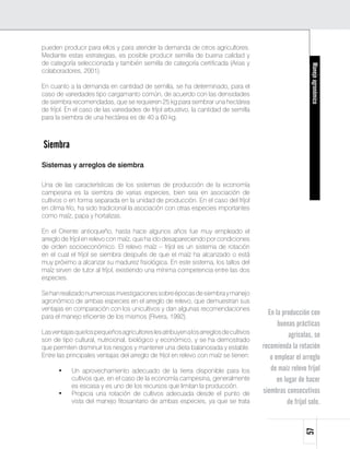 pueden producir para ellos y para atender la demanda de otros agricultores.
Mediante estas estrategias, es posible producir semilla de buena calidad y
de categoría seleccionada y también semilla de categoría certificada (Arias y




                                                                                                           Manejo agronómico
colaboradores, 2001).

En cuanto a la demanda en cantidad de semilla, se ha determinado, para el
caso de variedades tipo cargamanto común, de acuerdo con las densidades
de siembra recomendadas, que se requieren 25 kg para sembrar una hectárea
de fríjol. En el caso de las variedades de fríjol arbustivo, la cantidad de semilla
para la siembra de una hectárea es de 40 a 60 kg.



Siembra
Sistemas y arreglos de siembra

Una de las características de los sistemas de producción de la economía
campesina es la siembra de varias especies, bien sea en asociación de
cultivos o en forma separada en la unidad de producción. En el caso del fríjol
en clima frío, ha sido tradicional la asociación con otras especies importantes
como maíz, papa y hortalizas.

En el Oriente antioqueño, hasta hace algunos años fue muy empleado el
arreglo de fríjol en relevo con maíz, que ha ido desapareciendo por condiciones
de orden socioeconómico. El relevo maíz – fríjol es un sistema de rotación
en el cual el fríjol se siembra después de que el maíz ha alcanzado o está
muy próximo a alcanzar su madurez fisiológica. En este sistema, los tallos del
maíz sirven de tutor al fríjol, existiendo una mínima competencia entre las dos
especies.

Se han realizado numerosas investigaciones sobre épocas de siembra y manejo
agronómico de ambas especies en el arreglo de relevo, que demuestran sus
ventajas en comparación con los unicultivos y dan algunas recomendaciones
para el manejo eficiente de los mismos (Rivera, 1992).
                                                                                        En la producción con
                                                                                            buenas prácticas
Las ventajas que los pequeños agricultores les atribuyen a los arreglos de cultivos              agrícolas, se
son de tipo cultural, nutricional, biológico y económico, y se ha demostrado
que permiten disminuir los riesgos y mantener una dieta balanceada y estable.         recomienda la rotación
Entre las principales ventajas del arreglo de fríjol en relevo con maíz se tienen:       o emplear el arreglo
      •	   Un aprovechamiento adecuado de la tierra disponible para los                  de maíz relevo fríjol
           cultivos que, en el caso de la economía campesina, generalmente                  en lugar de hacer
           es escasa y es uno de los recursos que limitan la producción.
      •	   Propicia una rotación de cultivos adecuada desde el punto de               siembras consecutivas
           vista del manejo fitosanitario de ambas especies, ya que se trata                    de fríjol solo.
                                                                                                        57
 