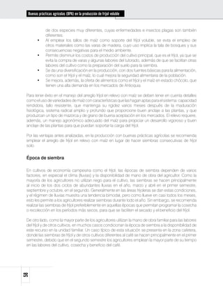 Buenas prácticas agrícolas (BPA) en la producción de fríjol voluble


              de dos especies muy diferentes, cuyas enfermedades e insectos plagas son también
              diferentes.
        •	    Al emplear los tallos de maíz como soporte del fríjol voluble, se evita el empleo de
              otros materiales como las varas de madera, cuyo uso implica la tala de bosques y sus
              consecuencias negativas para el medio ambiente.
        •	    Permite disminuir los costos de producción del cultivo principal, que es el fríjol, ya que se
              evita la compra de varas y algunas labores del tutorado, además de que se facilitan otras
              labores del cultivo como la preparación del suelo para la siembra.
        •	    Se da una diversificación en la producción, con dos fuentes básicas para la alimentación,
              como son el fríjol y el maíz, lo cual mejora la seguridad alimentaria de la población.
        •	    Se mejora, además, la oferta de alimentos como el fríjol y el maíz en estado chócolo, que
              tienen una alta demanda en los mercados de Antioquia.

 Para tener éxito en el manejo del arreglo fríjol en relevo con maíz se deben tener en cuenta detalles
 como el uso de variedades de maíz con características que las hagan aptas para el sistema: capacidad
 rendidora, tallo resistente, que mantenga su rigidez varios meses después de la maduración
 fisiológica, sistema radical amplio y profundo que proporcione buen anclaje a las plantas, y que
 produzcan un tipo de mazorca y de grano de buena aceptación en los mercados. El relevo requiere,
 además, un manejo agronómico adecuado del maíz para propiciar un desarrollo vigoroso y buen
 anclaje de las plantas para que puedan soportar la carga del fríjol.

 Por las ventajas antes analizadas, en la producción con buenas prácticas agrícolas se recomienda
 emplear el arreglo de fríjol en relevo con maíz en lugar de hacer siembras consecutivas de fríjol
 solo.


 Época de siembra

 En cultivos de economía campesina como el fríjol, las épocas de siembra dependen de varios
 factores, en especial el clima (lluvias) y la disponibilidad de mano de obra del agricultor. Como la
 mayoría de los agricultores no utilizan riego para el cultivo, las siembras se hacen principalmente
 al inicio de los dos ciclos de abundantes lluvias en el año, marzo y abril en el primer semestre,
 septiembre y octubre, en el segundo. Generalmente en las áreas frijoleras se dan estas condiciones,
 y el régimen de lluvias muestra una tendencia bimodal, pero como llueve en casi todos los meses,
 esto les permite a los agricultores realizar siembras durante todo el año. Sin embargo, se recomienda
 realizar las siembras de fríjol preferiblemente en aquellas épocas que permitan programar la cosecha
 o recolección en los períodos más secos, para que se faciliten el secado y el beneficio del fríjol.

 De otro lado, como la mayor parte de los agricultores utilizan la mano de obra familiar para las labores
 del fríjol y de otros cultivos, en muchos casos condicionan la época de siembra a la disponibilidad de
 este recurso en la unidad familiar. Un caso típico de esta situación se presenta en la zona cafetera,
 donde las siembras de fríjol y de otros cultivos diferentes al café se hacen principalmente en el primer
 semestre, debido que en el segundo semestre los agricultores emplean la mayor parte de su tiempo
 en las labores del cultivo, cosecha y beneficio del café.
58
 