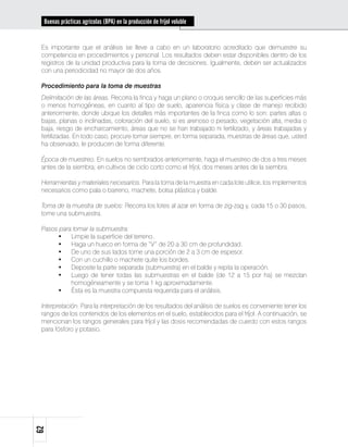 Buenas prácticas agrícolas (BPA) en la producción de fríjol voluble


 Es importante que el análisis se lleve a cabo en un laboratorio acreditado que demuestre su
 competencia en procedimientos y personal. Los resultados deben estar disponibles dentro de los
 registros de la unidad productiva para la toma de decisiones. Igualmente, deben ser actualizados
 con una periodicidad no mayor de dos años.

 Procedimiento para la toma de muestras
 Delimitación de las áreas. Recorra la finca y haga un plano o croquis sencillo de las superficies más
 o menos homogéneas, en cuanto al tipo de suelo, apariencia física y clase de manejo recibido
 anteriormente, donde ubique los detalles más importantes de la finca como lo son: partes altas o
 bajas, planas o inclinadas, coloración del suelo, si es arenoso o pesado, vegetación alta, media o
 baja, riesgo de encharcamiento, áreas que no se han trabajado ni fertilizado, y áreas trabajadas y
 fertilizadas. En todo caso, procure tomar siempre, en forma separada, muestras de áreas que, usted
 ha observado, le producen de forma diferente.

 Época de muestreo. En suelos no sembrados anteriormente, haga el muestreo de dos a tres meses
 antes de la siembra; en cultivos de ciclo corto como el fríjol, dos meses antes de la siembra.

 Herramientas y materiales necesarios. Para la toma de la muestra en cada lote utilice, los implementos
 necesarios como pala o barreno, machete, bolsa plástica y balde.

 Toma de la muestra de suelos: Recorra los lotes al azar en forma de zig-zag y, cada 15 o 30 pasos,
 tome una submuestra.

 Pasos para tomar la submuestra:
      •	 Limpie la superficie del terreno.
      •	 Haga un hueco en forma de “V” de 20 a 30 cm de profundidad.
      •	 De uno de sus lados tome una porción de 2 a 3 cm de espesor.
      •	 Con un cuchillo o machete quite los bordes.
      •	 Deposite la parte separada (submuestra) en el balde y repita la operación.
      •	 Luego de tener todas las submuestras en el balde (de 12 a 15 por ha) se mezclan
           homogéneamente y se toma 1 kg aproximadamente.
      •	 Ésta es la muestra compuesta requerida para el análisis.

 Interpretación. Para la interpretación de los resultados del análisis de suelos es conveniente tener los
 rangos de los contenidos de los elementos en el suelo, establecidos para el fríjol. A continuación, se
 mencionan los rangos generales para fríjol y las dosis recomendadas de cuerdo con estos rangos
 para fósforo y potasio.
62
 