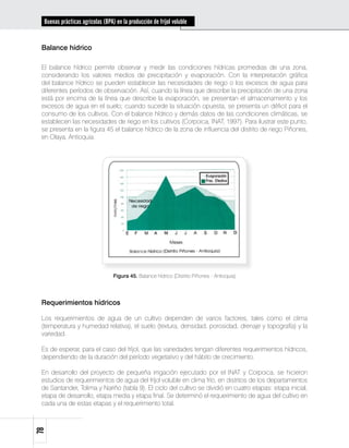 Buenas prácticas agrícolas (BPA) en la producción de fríjol voluble


 Balance hídrico

 El balance hídrico permite observar y medir las condiciones hídricas promedias de una zona,
 considerando los valores medios de precipitación y evaporación. Con la interpretación gráfica
 del balance hídrico se pueden establecer las necesidades de riego o los excesos de agua para
 diferentes períodos de observación. Así, cuando la línea que describe la precipitación de una zona
 está por encima de la línea que describe la evaporación, se presentan el almacenamiento y los
 excesos de agua en el suelo; cuando sucede la situación opuesta, se presenta un déficit para el
 consumo de los cultivos. Con el balance hídrico y demás datos de las condiciones climáticas, se
 establecen las necesidades de riego en los cultivos (Corpoica, INAT, 1997). Para ilustrar este punto,
 se presenta en la figura 45 el balance hídrico de la zona de influencia del distrito de riego Piñones,
 en Olaya, Antioquia.




                                  Figura 45. Balance hídrico (Distrito Piñones - Antioquia)




 Requerimientos hídricos

 Los requerimientos de agua de un cultivo dependen de varios factores, tales como el clima
 (temperatura y humedad relativa), el suelo (textura, densidad, porosidad, drenaje y topografía) y la
 variedad.

 Es de esperar, para el caso del fríjol, que las variedades tengan diferentes requerimientos hídricos,
 dependiendo de la duración del período vegetativo y del hábito de crecimiento.

 En desarrollo del proyecto de pequeña irrigación ejecutado por el INAT y Corpoica, se hicieron
 estudios de requerimientos de agua del fríjol voluble en clima frío, en distritos de los departamentos
 de Santander, Tolima y Nariño (tabla 9). El ciclo del cultivo se dividió en cuatro etapas: etapa inicial,
 etapa de desarrollo, etapa media y etapa final. Se determinó el requerimiento de agua del cultivo en
 cada una de estas etapas y el requerimiento total.
78
 