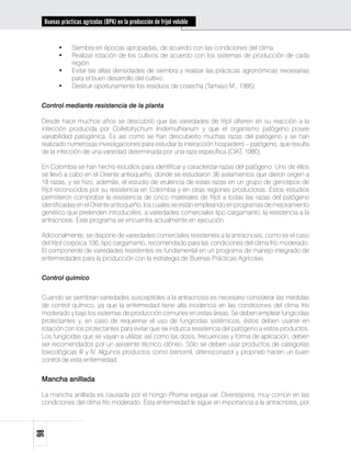 Buenas prácticas agrícolas (BPA) en la producción de fríjol voluble


       •	    Siembra en épocas apropiadas, de acuerdo con las condiciones del clima.
       •	    Realizar rotación de los cultivos de acuerdo con los sistemas de producción de cada
             región.
       •	    Evitar las altas densidades de siembra y realizar las prácticas agronómicas necesarias
             para el buen desarrollo del cultivo.
       •	    Destruir oportunamente los residuos de cosecha (Tamayo M., 1995).


 Control mediante resistencia de la planta

 Desde hace muchos años se descubrió que las variedades de fríjol difieren en su reacción a la
 infección producida por Colletotrychum lindemuthianum y que el organismo patógeno posee
 variabilidad patogénica. Es así como se han descubierto muchas razas del patógeno y se han
 realizado numerosas investigaciones para estudiar la interacción hospedero – patógeno, que resulta
 de la infección de una variedad determinada por una raza específica (CIAT, 1980).

 En Colombia se han hecho estudios para identificar y caracterizar razas del patógeno. Uno de ellos
 se llevó a cabo en el Oriente antioqueño, donde se estudiaron 36 aislamientos que dieron origen a
 18 razas, y se hizo, además, el estudio de virulencia de estas razas en un grupo de genotipos de
 fríjol reconocidos por su resistencia en Colombia y en otras regiones productoras. Estos estudios
 permitieron comprobar la resistencia de cinco materiales de fríjol a todas las razas del patógeno
 identificadas en el Oriente antioqueño, los cuales se están empleando en programas de mejoramiento
 genético que pretenden introducirles, a variedades comerciales tipo cargamanto, la resistencia a la
 antracnosis. Este programa se encuentra actualmente en ejecución.

 Adicionalmente, se dispone de variedades comerciales resistentes a la antracnosis, como es el caso
 del fríjol corpoica 106, tipo cargamanto, recomendado para las condiciones del clima frío moderado.
 El componente de variedades resistentes es fundamental en un programa de manejo integrado de
 enfermedades para la producción con la estrategia de Buenas Prácticas Agrícolas.


 Control químico


 Cuando se siembran variedades susceptibles a la antracnosis es necesario considerar las medidas
 de control químico, ya que la enfermedad tiene alta incidencia en las condiciones del clima frío
 moderado y bajo los sistemas de producción comunes en estas áreas. Se deben emplear fungicidas
 protectantes y, en caso de requerirse el uso de fungicidas sistémicos, éstos deben usarse en
 rotación con los protectantes para evitar que se induzca resistencia del patógeno a estos productos.
 Los fungicidas que se vayan a utilizar, así como las dosis, frecuencias y forma de aplicación, deben
 ser recomendados por un asistente técnico idóneo. Sólo se deben usar productos de categorías
 toxicológicas III y IV. Algunos productos como benomil, difenoconazol y propineb hacen un buen
 control de esta enfermedad.


 Mancha anillada

 La mancha anillada es causada por el hongo Phoma exigua var. Diversispora, muy común en las
 condiciones del clima frío moderado. Esta enfermedad le sigue en importancia a la antracnosis, por
98
 