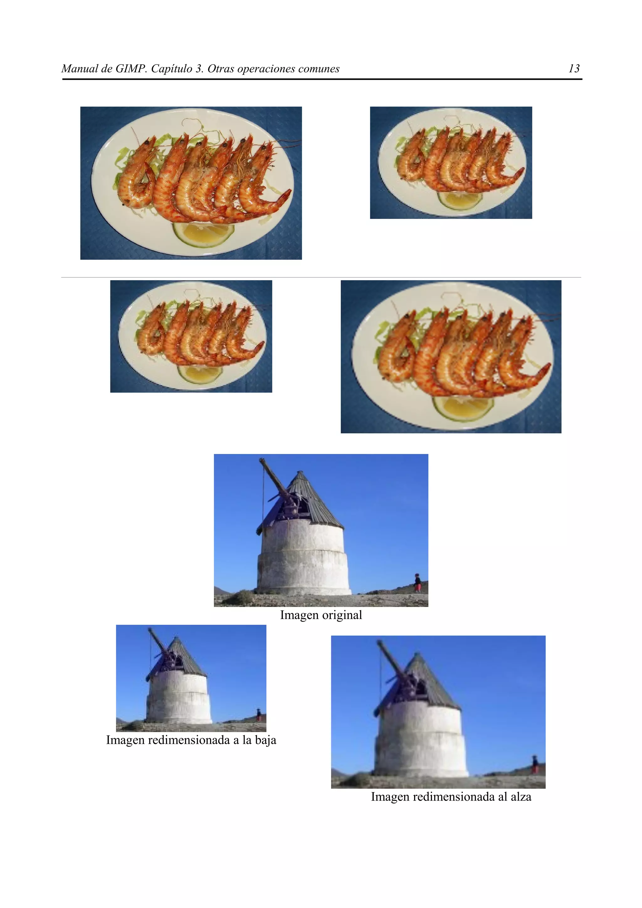 Manual de GIMP. Capítulo 3. Otras operaciones comunes                                       13




                                          Imagen original




        Imagen redimensionada a la baja



                                                            Imagen redimensionada al alza
 