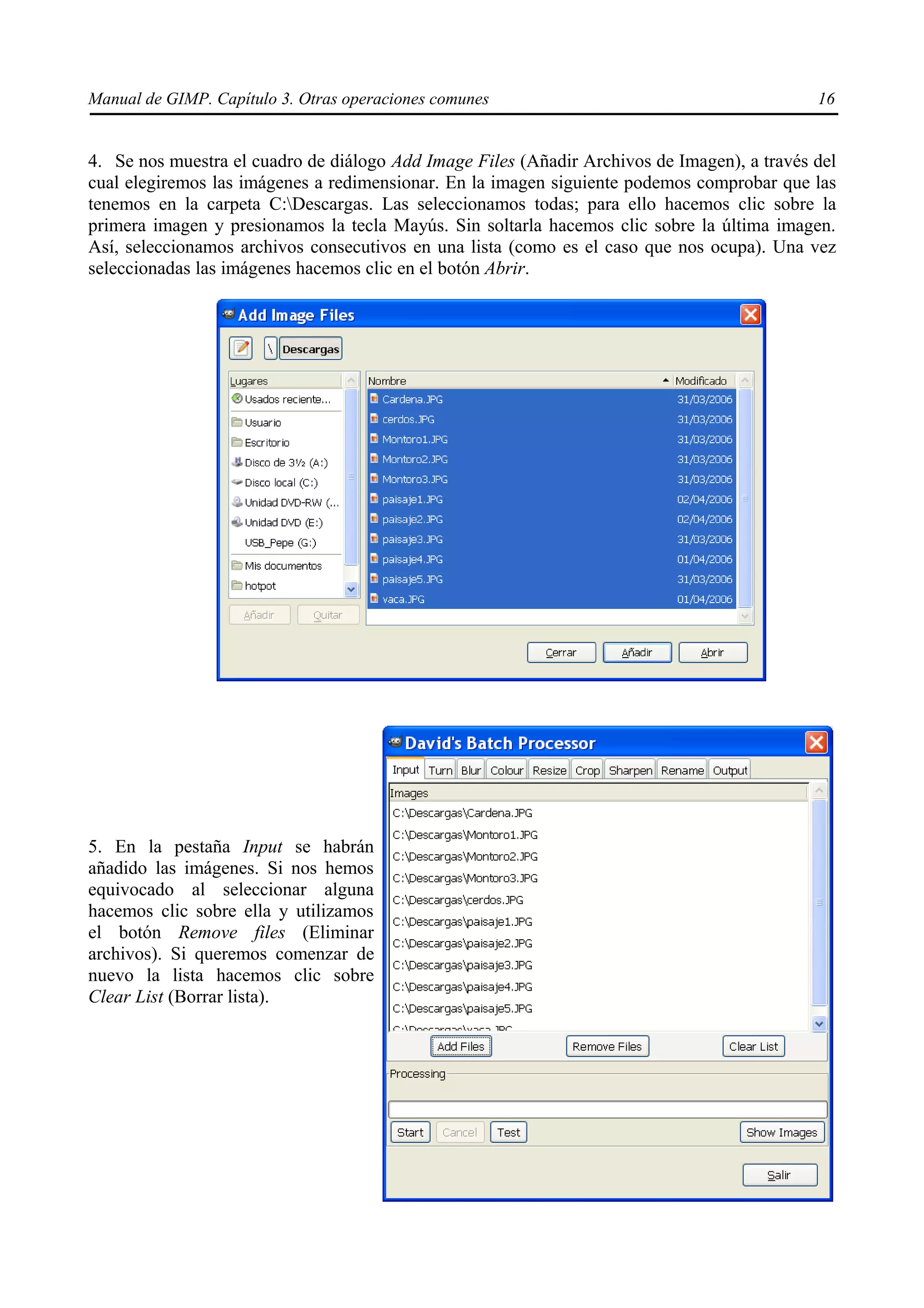 Manual de GIMP. Capítulo 3. Otras operaciones comunes                                        16


4. Se nos muestra el cuadro de diálogo Add Image Files (Añadir Archivos de Imagen), a través del
cual elegiremos las imágenes a redimensionar. En la imagen siguiente podemos comprobar que las
tenemos en la carpeta C:Descargas. Las seleccionamos todas; para ello hacemos clic sobre la
primera imagen y presionamos la tecla Mayús. Sin soltarla hacemos clic sobre la última imagen.
Así, seleccionamos archivos consecutivos en una lista (como es el caso que nos ocupa). Una vez
seleccionadas las imágenes hacemos clic en el botón Abrir.




5. En la pestaña Input se habrán
añadido las imágenes. Si nos hemos
equivocado al seleccionar alguna
hacemos clic sobre ella y utilizamos
el botón Remove files (Eliminar
archivos). Si queremos comenzar de
nuevo la lista hacemos clic sobre
Clear List (Borrar lista).
 