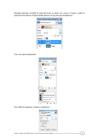 Gestión y Manejo de GIMP (Autores: Carmen Navarro-Antonio Parrado) 12
Después hacemos invisible la capa del texto, es decir, nos vamos a Capas y sobre la
capa del texto damos al botón donde aparece el ojo para que desaparezca.
Creo una capa transparente:
Nos saldrá la siguiente ventana y aceptamos:
 