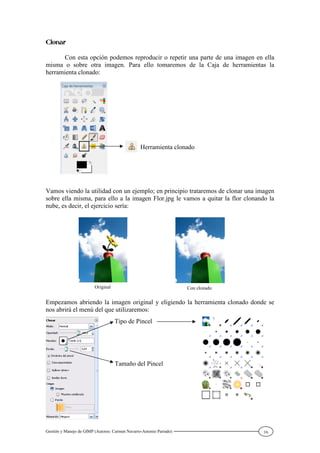 Gestión y Manejo de GIMP (Autores: Carmen Navarro-Antonio Parrado) 16
Con esta opción podemos reproducir o repetir una parte de una imagen en ella
misma o sobre otra imagen. Para ello tomaremos de la Caja de herramientas la
herramienta clonado:
Vamos viendo la utilidad con un ejemplo; en principio trataremos de clonar una imagen
sobre ella misma, para ello a la imagen Flor.jpg le vamos a quitar la flor clonando la
nube, es decir, el ejercicio sería:
Empezamos abriendo la imagen original y eligiendo la herramienta clonado donde se
nos abrirá el menú del que utilizaremos:
Herramienta clonado
Original Con clonado
Tipo de Pincel
Tamaño del Pincel
 