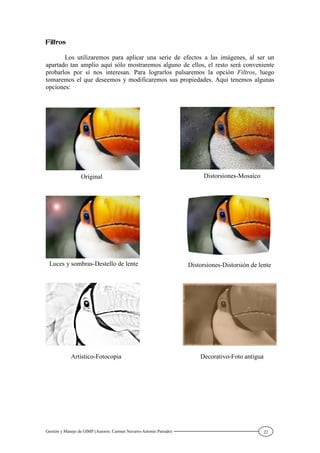 Gestión y Manejo de GIMP (Autores: Carmen Navarro-Antonio Parrado) 22
Los utilizaremos para aplicar una serie de efectos a las imágenes, al ser un
apartado tan amplio aquí sólo mostraremos alguno de ellos, el resto será conveniente
probarlos por sí nos interesan. Para lograrlos pulsaremos la opción Filtros, luego
tomaremos el que deseemos y modificaremos sus propiedades. Aquí tenemos algunas
opciones:
Original Distorsiones-Mosaico
Luces y sombras-Destello de lente Distorsiones-Distorsión de lente
Artístico-Fotocopia Decorativo-Foto antigua
 