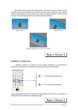Gestión y Manejo de GIMP (Autores: Carmen Navarro-Antonio Parrado) 7
Por último comentar que hasta ahora hemos visto que al girar la imagen no sale
completa sino que se encuadra en el tamaño que tenía, para corregirlo y que salga al
tamaño total después del giro tenemos que tomar la opción Imagen Autorecortar
imagen. Con el ejemplo que hemos visto anteriormente quedaría:
Podemos cambiar el aspecto de una imagen cambiando su inclinación y
perspectiva, utilizaremos las siguientes opciones de la Caja de herramientas:
Luego pulsaríamos sobre los vértices de la imagen para poder variar su perspectiva o
inclinación hasta conseguir el resultado esperado.
Imagen original Aplicada la rotación
Aplicada la opción Imagen Autorecortar imagen
Herramienta Inclinación
Herramienta Perspectiva
 