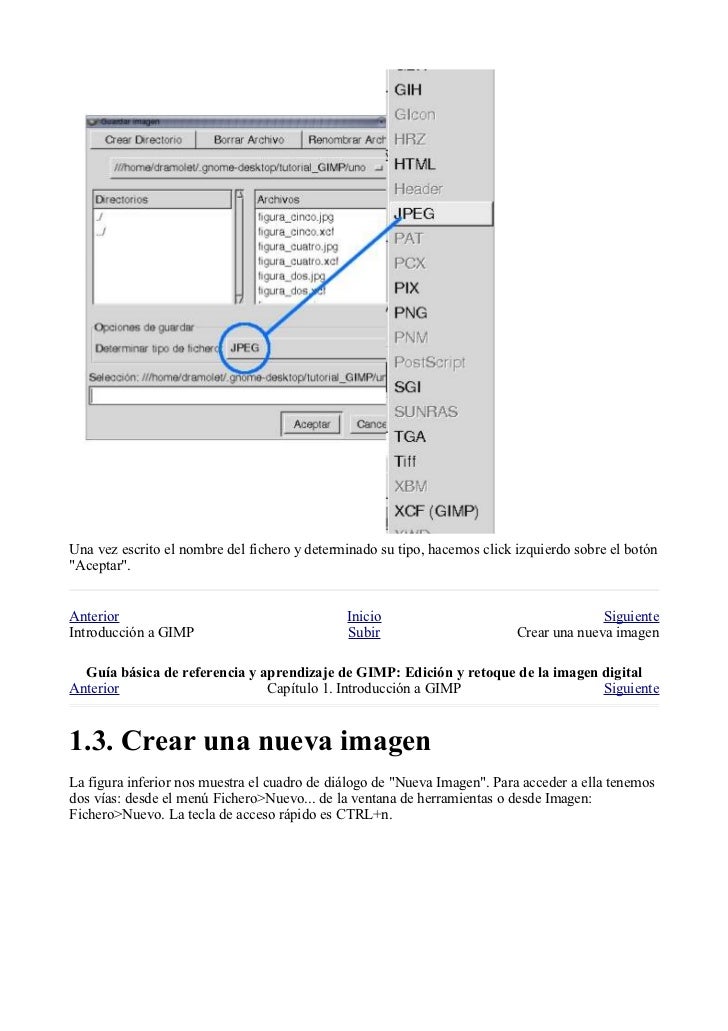 Manual gimp (spanish)