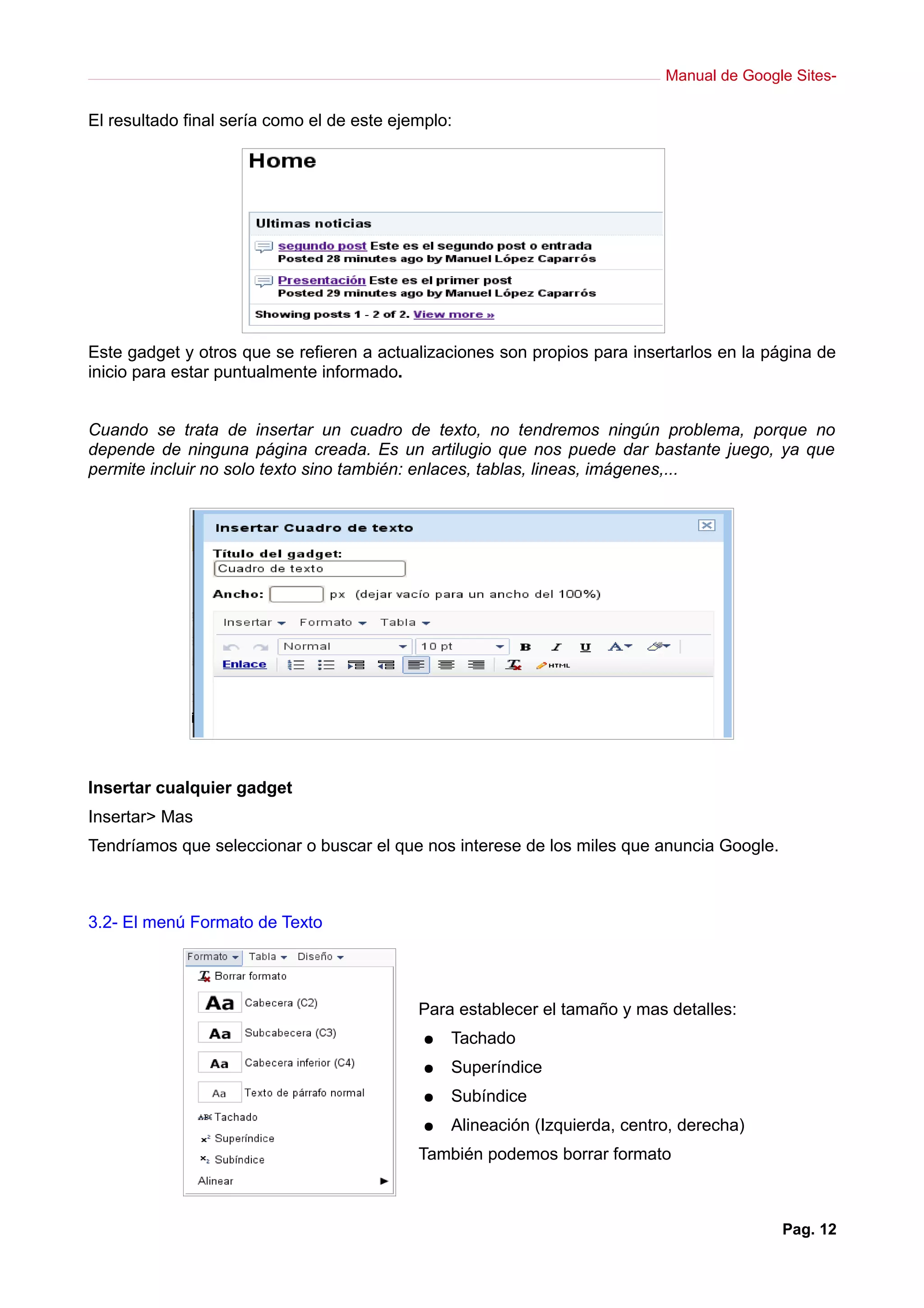 Manual de Google Sites-

El resultado final sería como el de este ejemplo:




Este gadget y otros que se refieren a actualizaciones son propios para insertarlos en la página de
inicio para estar puntualmente informado.


Cuando se trata de insertar un cuadro de texto, no tendremos ningún problema, porque no
depende de ninguna página creada. Es un artilugio que nos puede dar bastante juego, ya que
permite incluir no solo texto sino también: enlaces, tablas, lineas, imágenes,...




Insertar cualquier gadget
Insertar> Mas
Tendríamos que seleccionar o buscar el que nos interese de los miles que anuncia Google.



3.2- El menú Formato de Texto




                                            Para establecer el tamaño y mas detalles:
                                             ●   Tachado
                                             ●   Superíndice
                                             ●   Subíndice
                                             ●   Alineación (Izquierda, centro, derecha)
                                            También podemos borrar formato



                                                                                            Pag. 12
 