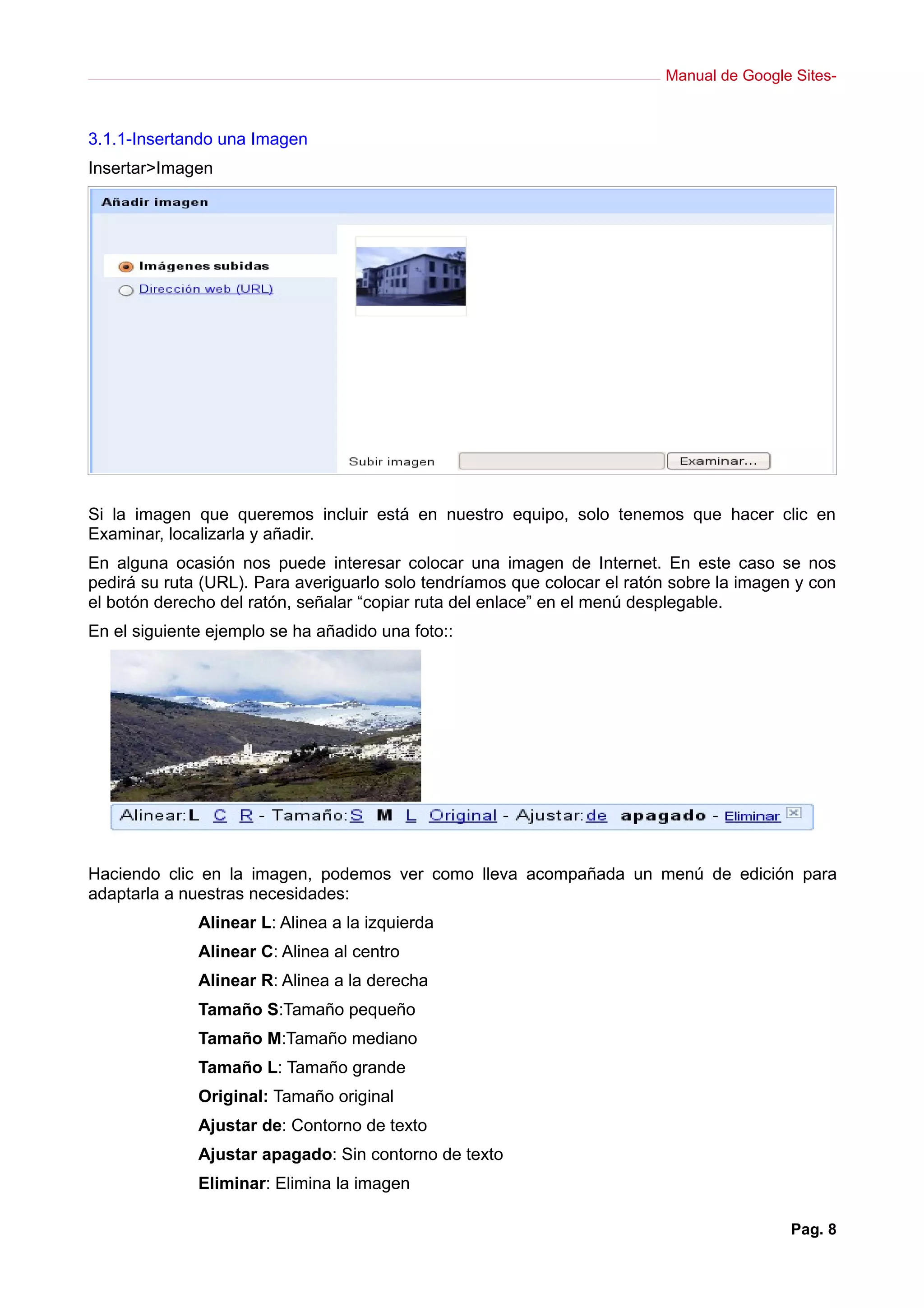Manual google sites (1)