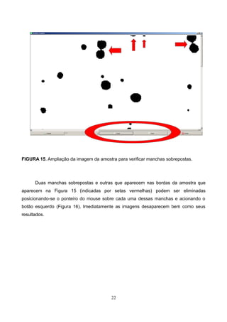 FIGURA 15. Ampliação da imagem da amostra para verificar manchas sobrepostas.
Duas manchas sobrepostas e outras que aparecem nas bordas da amostra que
aparecem na Figura 15 (indicadas por setas vermelhas) podem ser eliminadas
posicionando-se o ponteiro do mouse sobre cada uma dessas manchas e acionando o
botão esquerdo (Figura 16). Imediatamente as imagens desaparecem bem como seus
resultados.
22
 