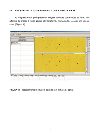 5.4 - PROCESSANDO MAGENS COLORIDAS OU EM TONS DE CINZA
O Programa Gotas pode processar imagens coloridas com milhões de cores, mas
o tempo de análise é maior, porque ele transforma, internamente, as cores em tons de
cinza (Figura 18).
FIGURA 18. Processamento de imagem colorida com milhões de cores.
25
 