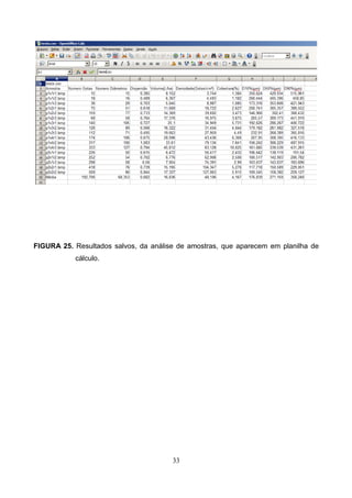 FIGURA 25. Resultados salvos, da análise de amostras, que aparecem em planilha de
cálculo.
33
 