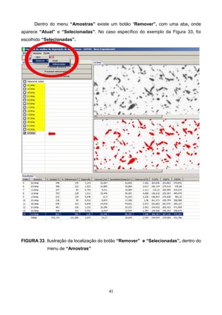 Dentro do menu “Amostras” existe um botão “Remover”, com uma aba, onde
aparece “Atual” e “Selecionadas”. No caso específico do exemplo da Figura 33, foi
escolhido “Selecionadas”.
FIGURA 33. Ilustração da localização do botão “Remover” e “Selecionadas”, dentro do
menu de “Amostras”
41
 