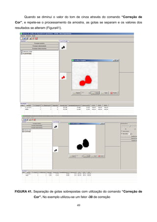 Quando se diminui o valor do tom de cinza através do comando “Correção de
Cor”, e repete-se o processamento da amostra, as gotas se separam e os valores dos
resultados se alteram (Figura41).
FIGURA 41. Separação de gotas sobrepostas com utilização do comando “Correção de
Cor”. No exemplo utilizou-se um fator -30 de correção
49
 