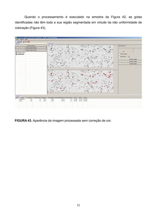 Quando o processamento é executado na amostra da Figura 42, as gotas
identificadas não têm toda a sua região segmentada em virtude da não uniformidade de
coloração (Figura 43).
FIGURA 43. Aparência da imagem processada sem correção de cor.
51
 