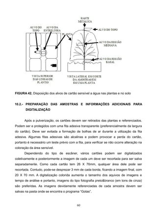 FIGURA 42. Disposição dos alvos de cartão sensível a água nas plantas e no solo
10.2.- PREPARAÇÃO DAS AMOSTRAS E INFORMAÇÕES ADICIONAIS PARA
DIGITALIZAÇÃO
Após a pulverização, os cartões devem ser retirados das plantas e referenciados.
Podem ser e protegidos com uma fita adesiva transparente (preferencialmente da largura
do cartão). Deve ser evitada a formação de bolhas de ar durante a utilização da fita
adesiva. Algumas fitas adesivas são alcalinas e podem provocar a perda do cartão,
portanto é necessário um teste prévio com a fita, para verificar se não ocorre alteração na
coloração da área sensível.
Dependendo do tipo de escâner, vários cartões podem ser digitalizados
coletivamente e posteriormente a imagem de cada um deve ser recortada para ser salva
separadamente. Como cada cartão tem 26 X 76mm, qualquer área dele pode ser
recortada. Contudo, pode-se desprezar 3 mm de cada borda, ficando a imagem final, com
20 X 70 mm. A digitalização colorida aumenta o tamanho dos aquivos de imagens e
tempo de análise e portanto, imagens do tipo fotografia preto&branco (em tons de cinza)
são preferidas. As imagens devidamente referenciadas de cada amostra devem ser
salvas na pasta onde se encontra o programa “Gotas”.
60
 