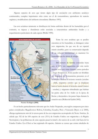 Vizcarra Romero, J. K. (2008) - Los Humedales de Ite: Un Potencial Ecoturístico


      Algunas especies de aves que tienen algún tipo de asociación con ambientes acuáticos
continentales, cumplen importantes roles como ser el de consumidores, aportadores de materia
orgánica y modificadores del ambiente circundante (Martínez 1993).


      Las aves acuáticas raramente se distribuyen de forma uniforme dentro de los humedales; por el
contrario, su riqueza y abundancia están asociadas a características ambientales locales y a
requerimientos particulares de cada especie (Weller 1999).


                                                               Entre las aves acuáticas que se pueden
                                                         encontrar en los humedales, se distinguen varias
                                                         aves migratorias, las que son de un especial
                                                         interés científico, pero su conservación depende
                                                         de un esfuerzo internacional en mantener los
                                                         humedales que les sirven de refugio.


                                                               Del número de familias conocidas hasta
                                                         hoy, el 60% son migratorias; por esta razón
                                                         muchas aves son vistas durante cortos periodos
                                                         y luego desaparecen. Estas pueden ser divididas
                                                         en: Migrantes de Norteamérica presentes en el
                                                         neotrópico durante el invierno norteño (octubre
                                                         - abril), migrantes sureños que se desplazan
                                                         hacia el norte durante el invierno austral (marzo
                                                         - octubre), y migrantes altitudinales que habitan
                                                         las partes altas de los Andes en la época de
                                                         lluvias y descienden a las partes bajas durante la
                                                         estación seca (Walker & Fjeldså 2002).
               Fuente: Ecológica (2004)

      Es un hecho particularmente relevante que los Andes Tropicales, una región compuesta por cinco
países considerados Megadiversos: Bolivia, Colombia, Ecuador, Perú y Venezuela (Myers et al. 2000),
alberga regularmente más de la tercera parte de las aves migratorias neotropicales de Norte América. Se
calcula que 332 de las 650 especies de aves (51%) de Estados Unidos son migratorias a la Región
Neotropical, y las poblaciones de estas especies pasan la mitad o dos tercios de su ciclo vital fuera de los
Estados Unidos. En el Perú se han registrado 68 especies. Además se conoce que existen alrededor de


                                                                                                           7
Organización de Gestión de Destino Turístico Tacna
 