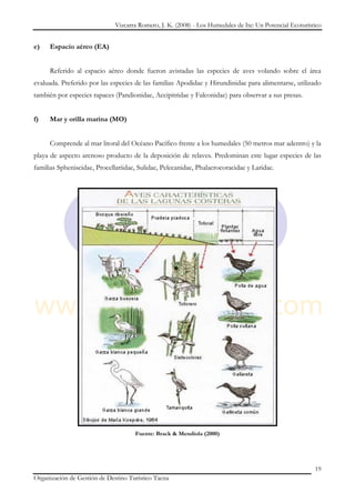 Vizcarra Romero, J. K. (2008) - Los Humedales de Ite: Un Potencial Ecoturístico


e)   Espacio aéreo (EA)


     Referido al espacio aéreo donde fueron avistadas las especies de aves volando sobre el área
evaluada. Preferido por las especies de las familias Apodidae y Hirundinidae para alimentarse, utilizado
también por especies rapaces (Pandionidae, Accipitridae y Falconidae) para observar a sus presas.


f)   Mar y orilla marina (MO)


     Comprende al mar litoral del Océano Pacífico frente a los humedales (50 metros mar adentro) y la
playa de aspecto arenoso producto de la deposición de relaves. Predominan este lugar especies de las
familias Spheniscidae, Procellariidae, Sulidae, Pelecanidae, Phalacrocoracidae y Laridae.




                                     Fuente: Brack & Mendiola (2000)




                                                                                                          19
Organización de Gestión de Destino Turístico Tacna
 