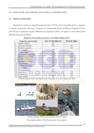 Vizcarra Romero, J. K. (2008) - Los Humedales de Ite: Un Potencial Ecoturístico


10.1. ESPECIES DE AVES IMPORTANTES PARA LA CONSERVACIÓN


a)   Especies amenazadas.


     Siguiendo los criterios y categorías propuestos por la UICN, en los Humedales de Ite se registran
16 especies amenazadas. De estas, 14 especies son consideradas dentro del Decreto Supremo Nº 034-
2004-AG de la legislación nacional (Ministerio de Agricultura 2004) y 10 especies a nivel internacional
(BirdLife International 2006a).
                    Especies amenazadas presentes en los Humedales de Ite.
               Especies amenazadas                    D.S. Nº 034-2004-AG               BirdLife 2006a
        1. Podiceps occipitalis                                NT                             -
        2. Spheniscus humboldti                               EN                             VU
        3. Macronectes giganteus                                -                            VU
        4. Sula variegata                                     EN                              -
        5. Pelecanus thagus                                   EN                              -
        6. Phalacrocorax bougainvillii                        EN                             NT
        7. Phalacrocorax gaimardi                             EN                             NT
        8. Theristicus melanopis                               VU                             -
        9. Phoenicopterus chilensis                            NT                            NT
        10. Falco peregrinus                                   NT                             -
        11. Laterallus jamaicensis                             NT                            NT
        12. Sterna elegans                                      -                            NT
        13. Sterna hirundinacea                                VU                             -
        14. Sterna lorata                                      VU                            EN
        15. Larosterna inca                                    VU                            NT
        16. Progne murphyi                                     VU                            VU
             Criterios según la UICN: En Peligro (EN), Vulnerable (VU), Casi Amenazado (NT).




                         Podiceps occipitalis, Phalacrocorax gaimardi, Pelecanus thagus.
                         Phoenicopterus chilensis, Theristicus melanosis, Falco peregrinus.

                                                                                                          22
Organización de Gestión de Destino Turístico Tacna
 