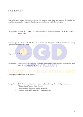 © OGD TUR TACNA




Esta publicación puede reproducirse total o parcialmente para fines educativos y de difusión sin
propósitos comerciales, otorgando el crédito correspondiente al dueño del copyright.




Cita sugerida: Vizcarra, J. K. 2008. Los Humedales de Ite: Un Potencial Ecoturístico. OGD TUR TACNA.
               Tacna, Perú.




Publicado por la OGD TUR TACNA, en el marco del “Programa de Capacitación de Guías y
Operadores Turísticos de Tacna”.




Disponible en la Web: www.turismotacna.com




Foto de tapa: Bandada de “Vuelvepiedras” (Arenaria interpres) en el espejo lagunar ubicado en la parte
              norte de los Humedales de Ite.




Diseño: Jhonson Klever Vizcarra Romero




Fotografías:   Todas las tomas fotográficas son propiedad del autor, salvo se indique lo contrario.
               Pelecanus thagus (Augusto Carty Castro)
               Podiceps occipitalis (Giovanni Aragón Alvarado)
               Pseudalopex griseus (Rafael González - www.canids.org)




                                                                                                      ii
 
