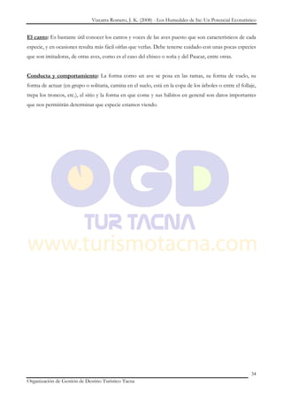 Vizcarra Romero, J. K. (2008) - Los Humedales de Ite: Un Potencial Ecoturístico


El canto: Es bastante útil conocer los cantos y voces de las aves puesto que son característicos de cada
especie, y en ocasiones resulta más fácil oírlas que verlas. Debe tenerse cuidado con unas pocas especies
que son imitadoras, de otras aves, como es el caso del chisco o soña y del Paucar, entre otras.


Conducta y comportamiento: La forma como un ave se posa en las ramas, su forma de vuelo, su
forma de actuar (en grupo o solitaria, camina en el suelo, está en la copa de los árboles o entre el follaje,
trepa los troncos, etc.), el sitio y la forma en que come y sus hábitos en general son datos importantes
que nos permitirán determinar que especie estamos viendo.




                                                                                                          34
Organización de Gestión de Destino Turístico Tacna
 
