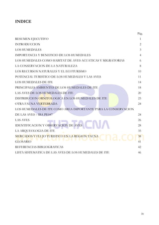 INDICE

                                                                 Pág.
RESUMEN EJECUTIVO                                                 1
INTRODUCCION                                                      2
LOS HUMEDALES                                                     3
IMPORTANCIA Y BENEFICIO DE LOS HUMEDALES                          4
LOS HUMEDALES COMO HABITAT DE AVES ACUATICAS Y MIGRATORIAS        6
LA CONSERVACION DE LA NATURALEZA                                  8
LOS RECURSOS NATURALES Y EL ECOTURISMO                           10
POTENCIAL TURISTICO DE LOS HUMEDALES Y LAS AVES                  11
LOS HUMEDALES DE ITE                                             14
PRINCIPALES AMBIENTES DE LOS HUMEDALES DE ITE                    18
LAS AVES DE LOS HUMEDALES DE ITE                                 20
DISTRIBUCION ORNITOLOGICA EN LOS HUMEDALES DE ITE                23
OTRA FAUNA VERTEBRADA                                            24
LOS HUMEDALES DE ITE COMO AREA IMPORTANTE PARA LA CONSERVACION
DE LAS AVES – IBA PE047                                          24
LAS AVES                                                         26
IDENTIFICACION Y OBSERVACION DE AVES                             28
LA ARQUEOLOGIA DE ITE                                            35
MERCADOS Y FLUJO TURISTICO EN LA REGION TACNA                    38
GLOSARIO                                                         41
REFERENCIAS BIBLIOGRAFICAS                                       42
LISTA SISTEMATICA DE LAS AVES DE LOS HUMEDALES DE ITE            46




                                                                      iv
 